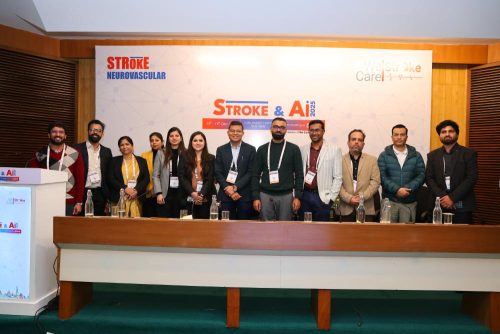 STROKE & Ai 2025